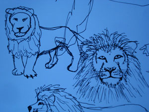 lion drawing