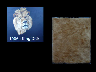 display example